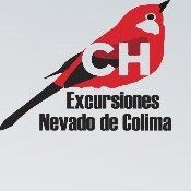 Logo México Turístico EM